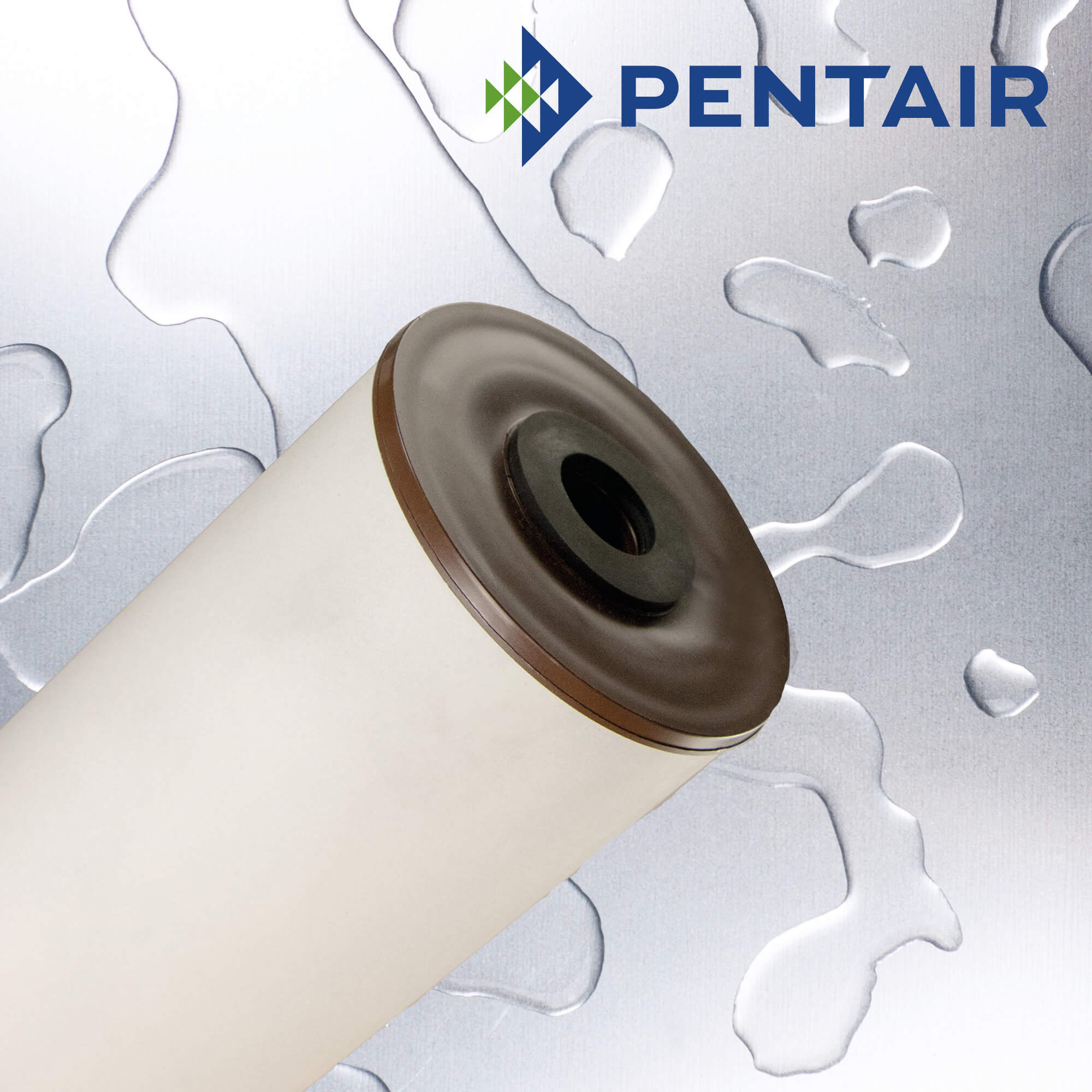 RFFE20-BB : PENTAIR Iron Reduction Filter 20 for Big Blue